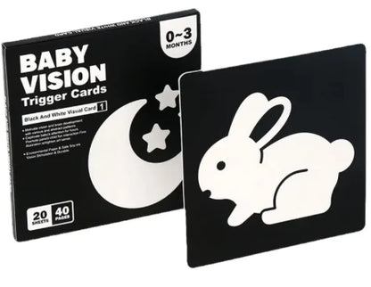 Early Education Visual Card