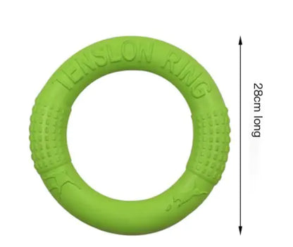Interactive EVA Training Ring
