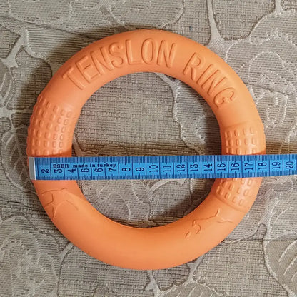 Interactive EVA Training Ring
